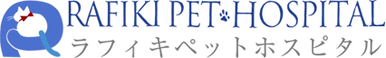 石神井公園駅すぐの動物病院、ラフィキペットホスピタルです。